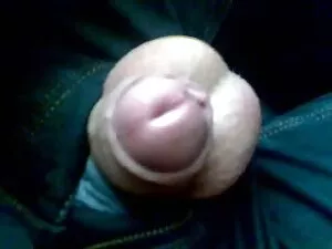 Các cặp vợ chồng và  ...