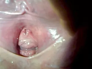 Con phímex xx người  ...