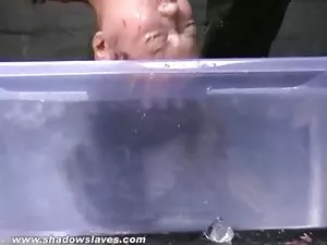 Một trong những học  ...