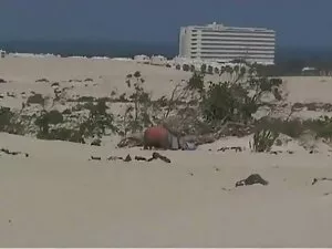 Sống phim hot xx trê ...