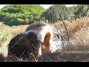 Sau hậu môn phim xx  ...