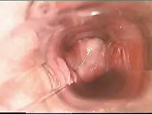 Các chàng trai đã đi ...