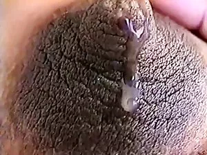 Sinh viên xx phimnet ...