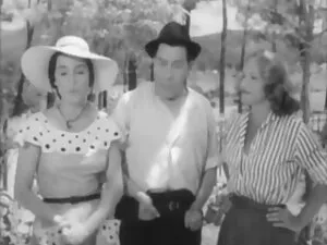 Mái tóc màu xám gia  ...